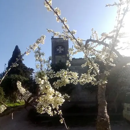 Teatro Del Grano Holiday home Alberobello