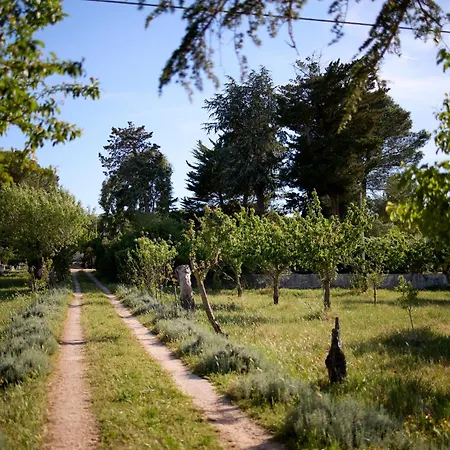 Holiday home Teatro Del Grano *