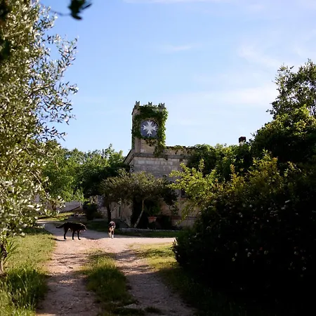 Teatro Del Grano *